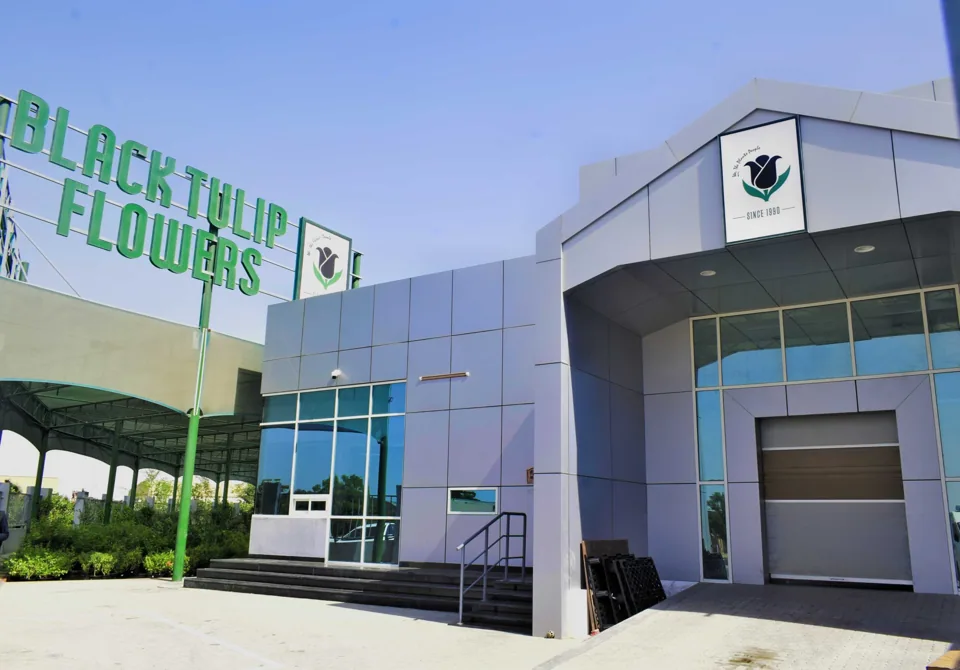 Commercial Bdg on Plot No. 8111635 Al Warsan