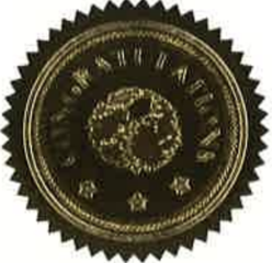Global Village recognition seal